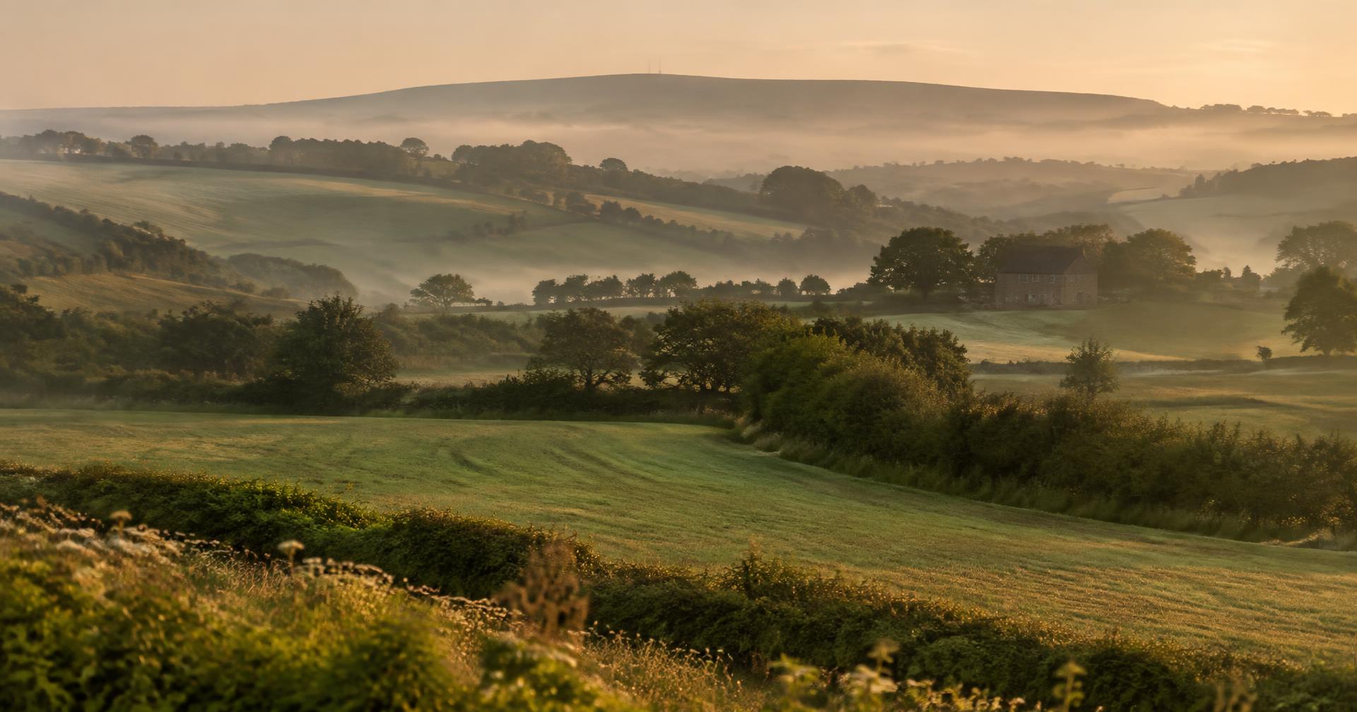 Misty regenerative farmland with hedgerows and a stone farmhouse at dawn